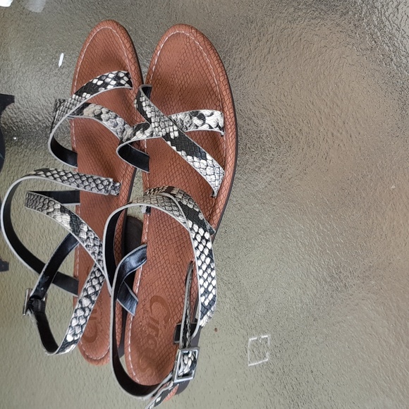 Circus by Sam Edelman Cee Cee Sandals Size9 Trendy,Strappy,Snakeskin Pattern EUC - Picture 6 of 6